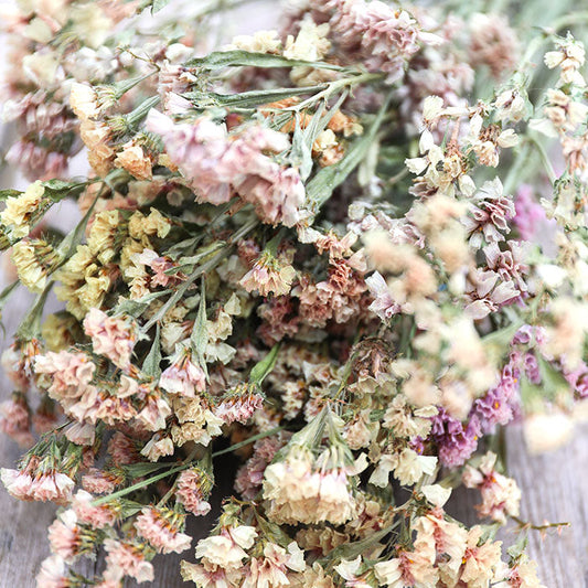 Apricot Statice Bunch