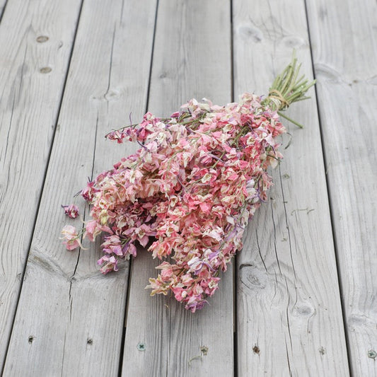 Mixed Pink Delphinium Bunch